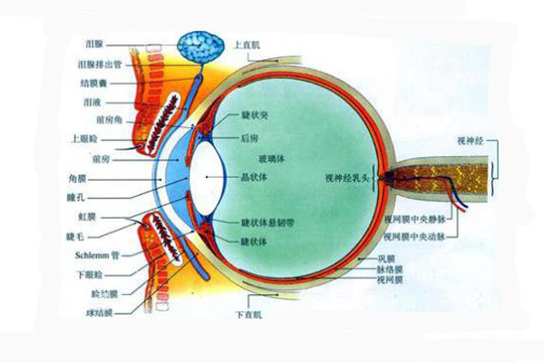 顏色是怎么被人眼感知的？顏色怎么表示與復(fù)現(xiàn)？